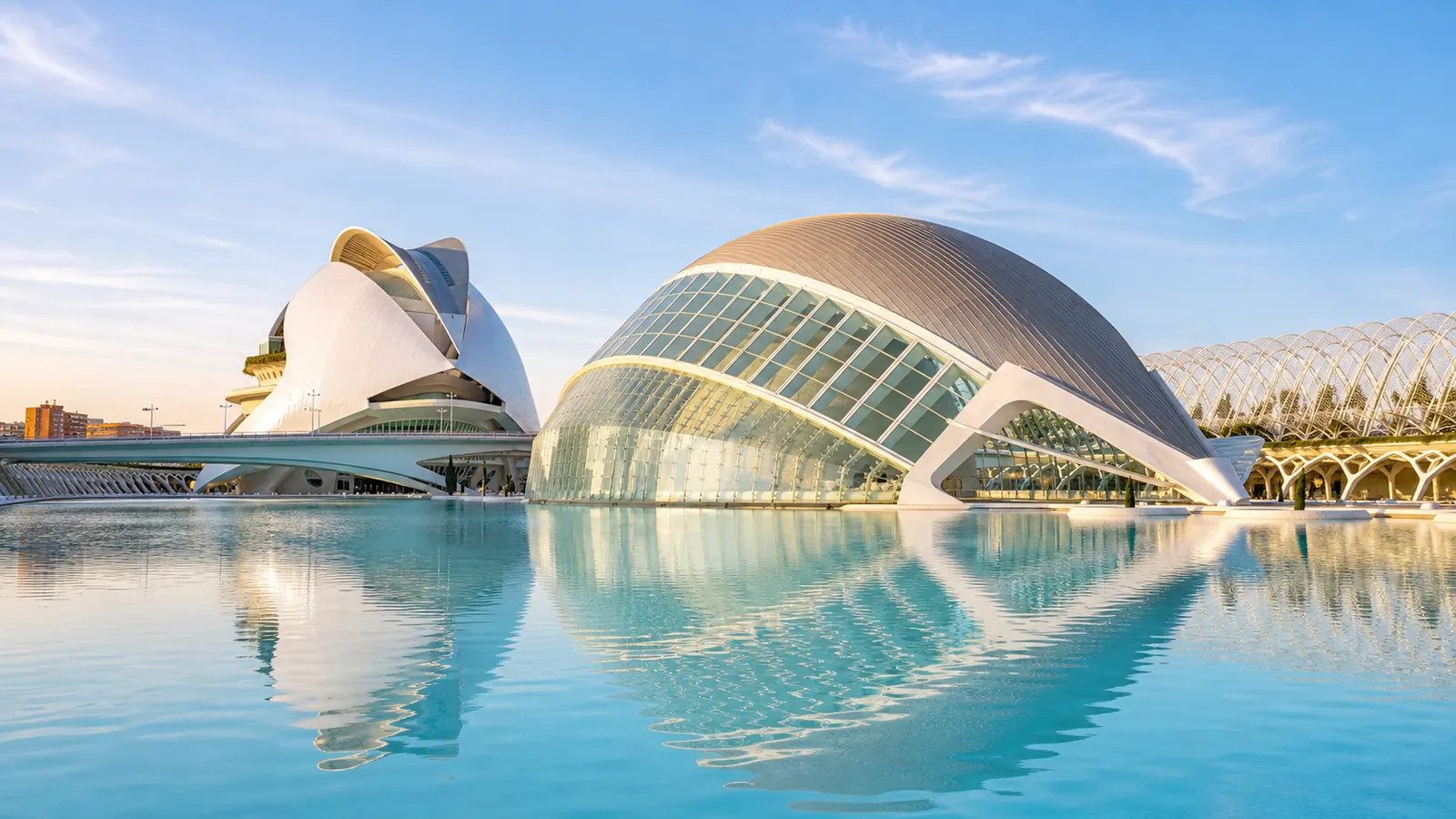 Control de plagas en Valencia